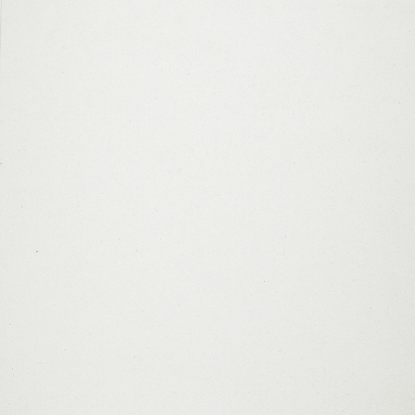 PS-205